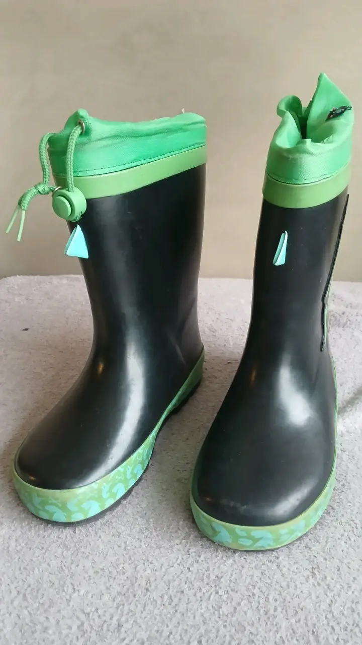 Botas de lluvia dinosaurio niño - 2