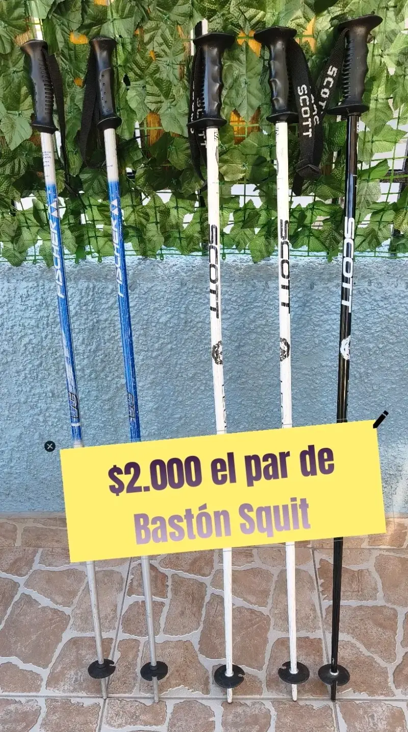 Esquís variados con fijaciones - 2