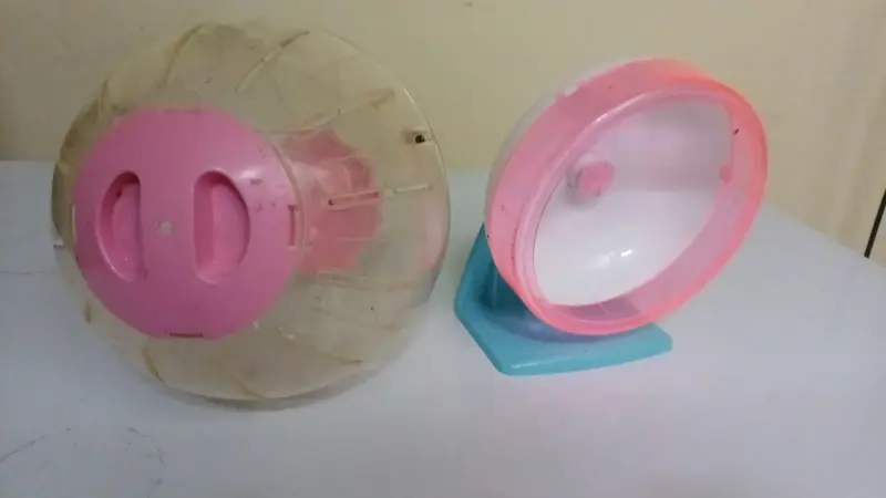 Rueda y soporte para hámster