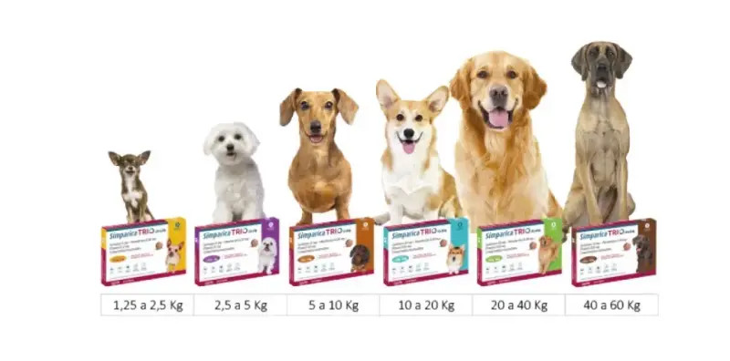 NexGard Spectra 30-60 kg 3 comprimidos - 2