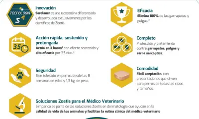 Simparica 40 a 60 kg x 3 comprimidos - miniatura 4