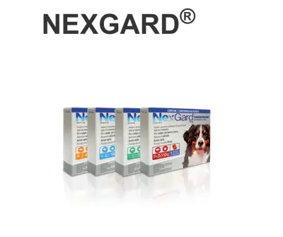 NexGard 10 a 25 kg para perros x 3 comprimidos - miniatura 2