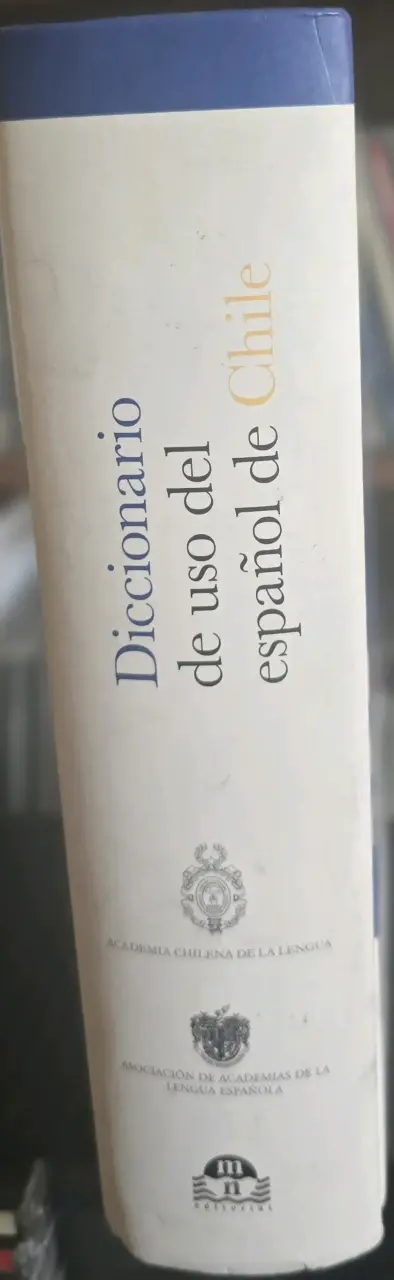 Diccionario de uso del español Chile - 4