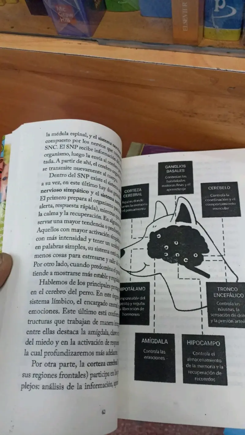 Libro '¡Mi perro necesita terapia!' - 2