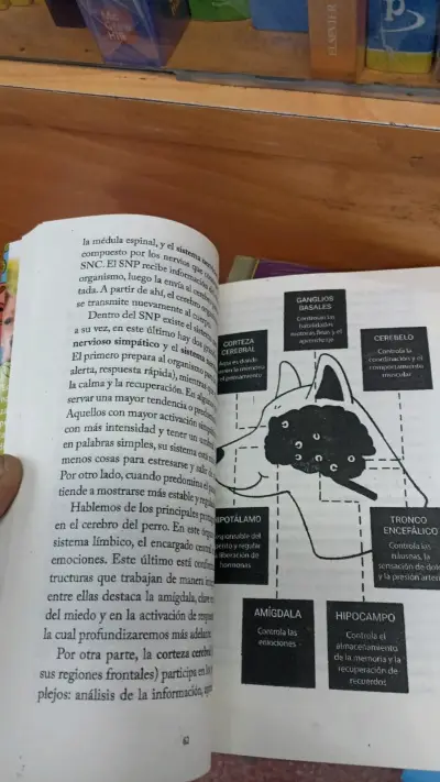 Libro '¡Mi perro necesita terapia!' - miniatura 2
