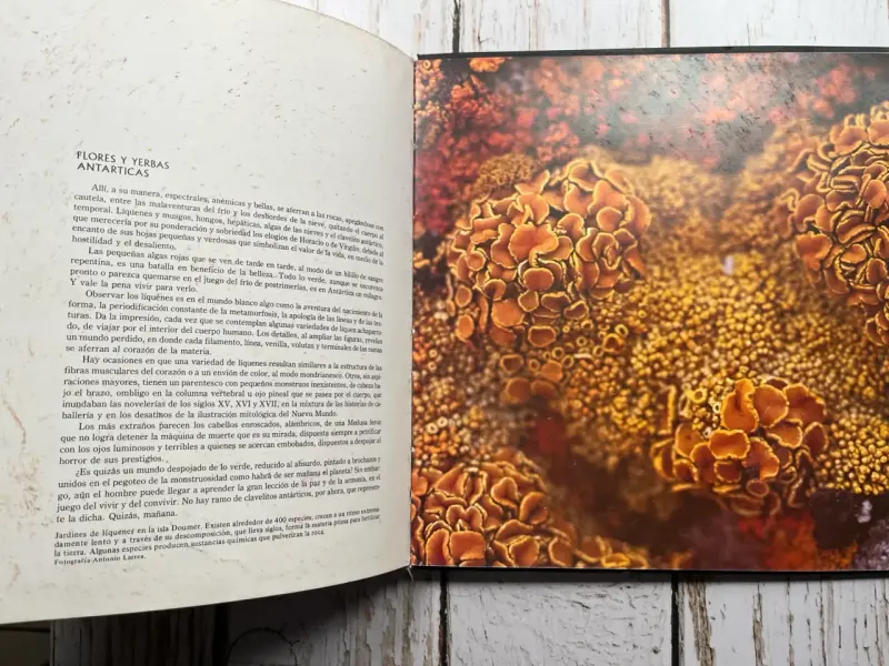 Libro Antártica: El Reino de los Hielos - 6