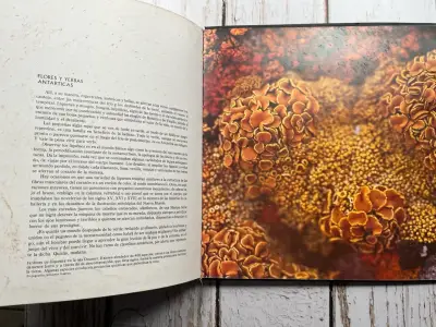 Libro Antártica: El Reino de los Hielos - miniatura 6