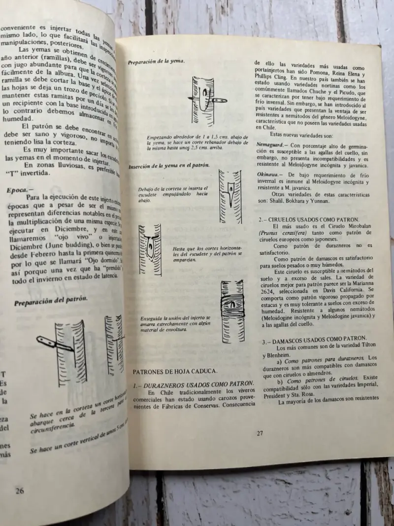 Manual de Fruticultura / Luis Cartagena C. (1975) - 4