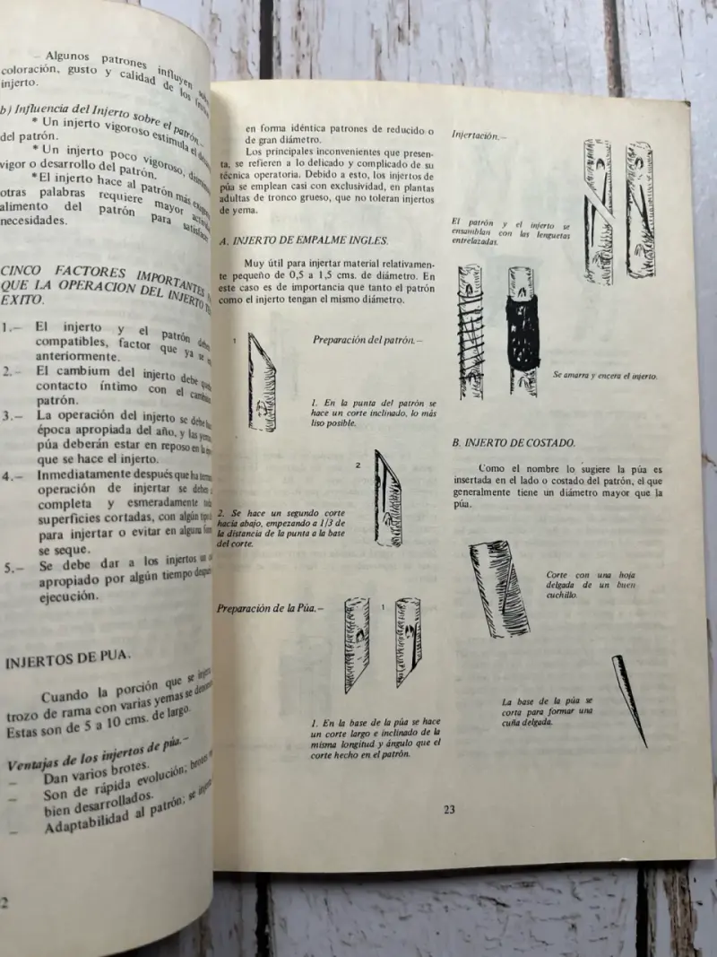 Manual de Fruticultura / Luis Cartagena C. (1975) - 5