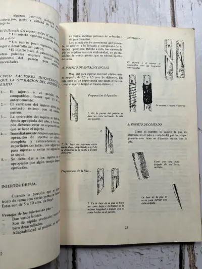 Manual de Fruticultura / Luis Cartagena C. (1975) - miniatura 5