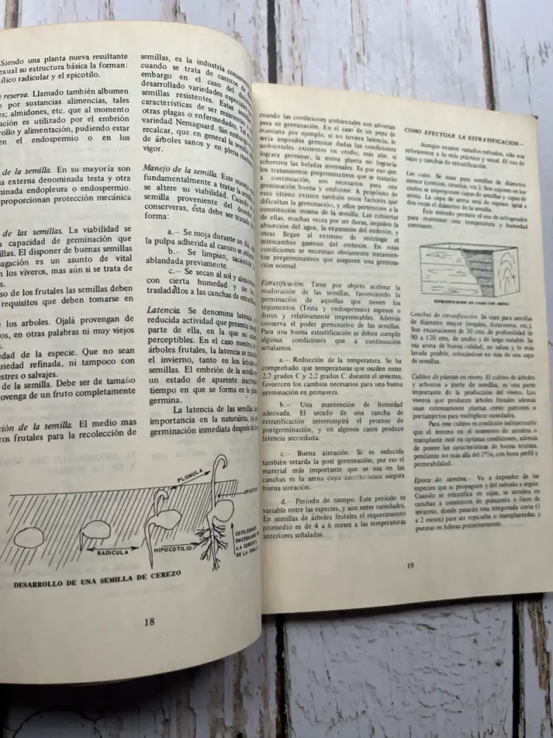 Manual de Fruticultura / Luis Cartagena C. (1975) - 6