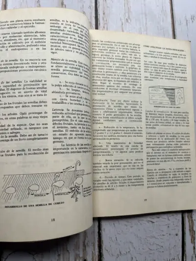Manual de Fruticultura / Luis Cartagena C. (1975) - miniatura 6