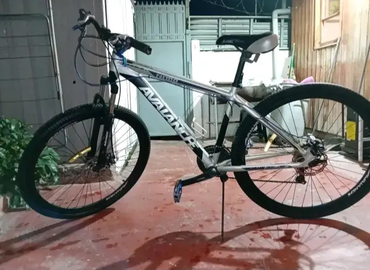 Bicicleta Avalanche Rígida