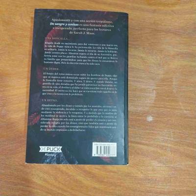 Libro 'De Sangre y Cenizas' - miniatura 2