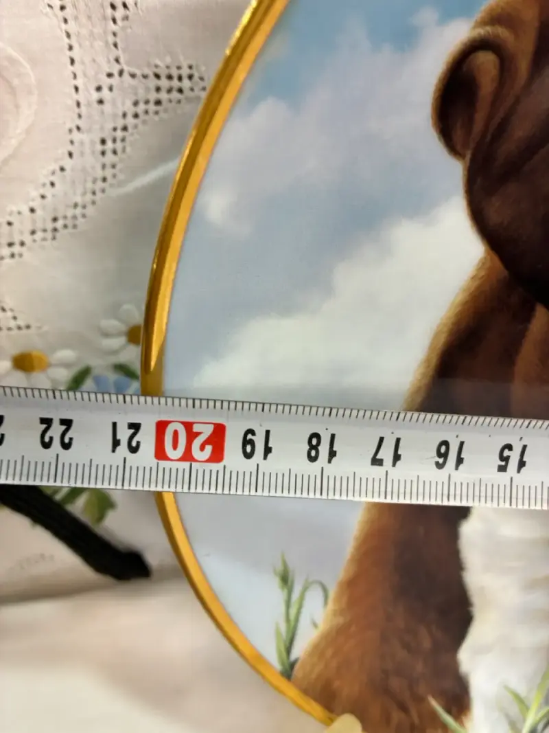 Plato decorativo con diseño de perro boxer - 2