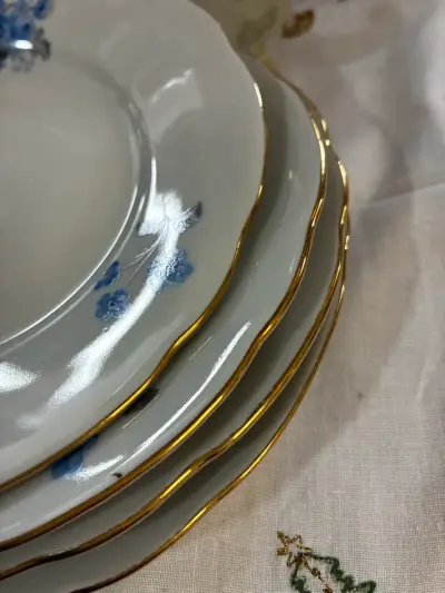Platos de porcelana bohemia - miniatura 3