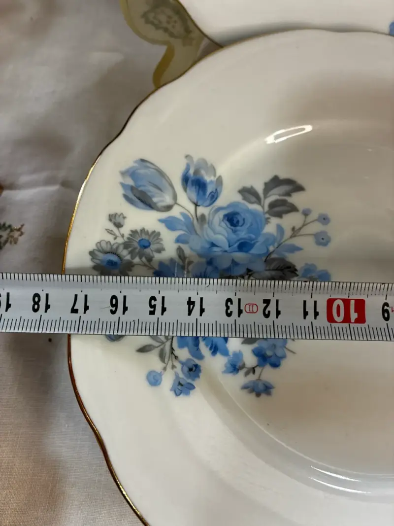 Platos de porcelana bohemia - 4