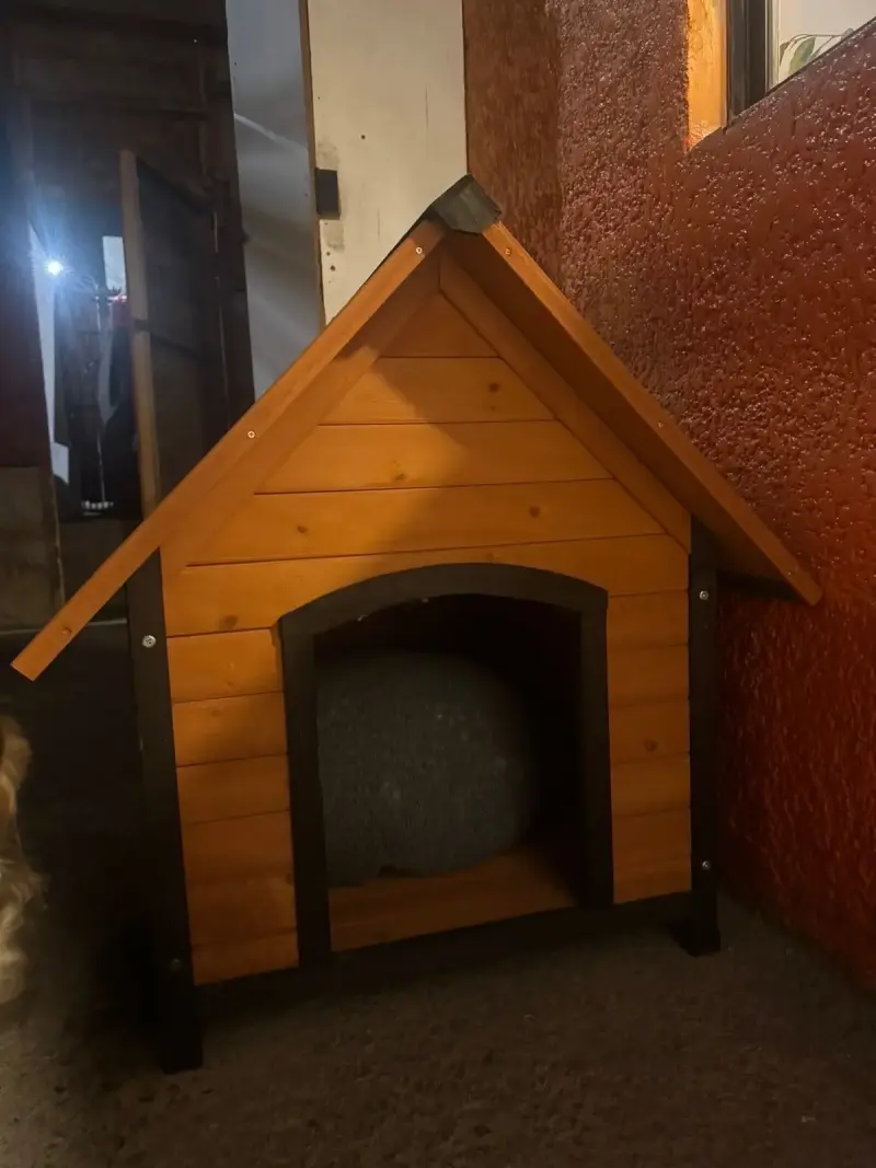 Casa de perro madera resistente - 4