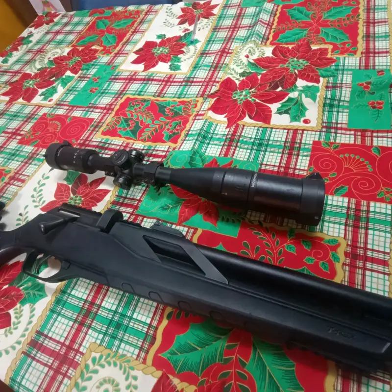 Rifle de aire comprimido con mira - 2