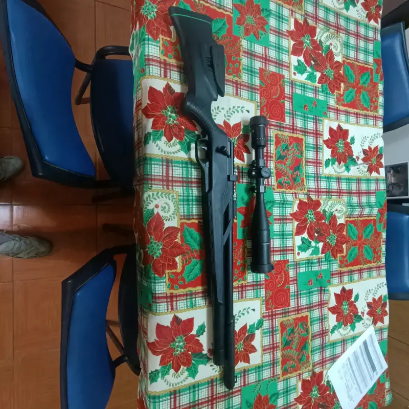 Rifle de aire comprimido con mira - 5