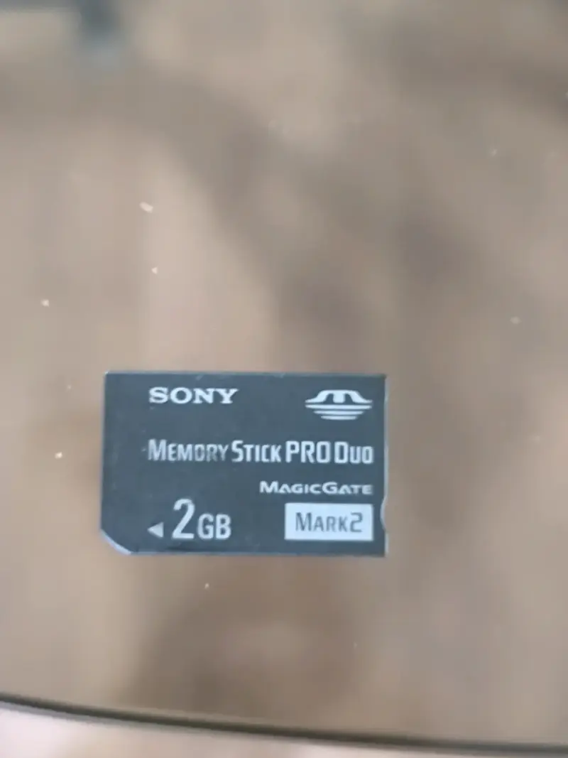 Sony Handycam DCR-DVD508 con accesorios - 5