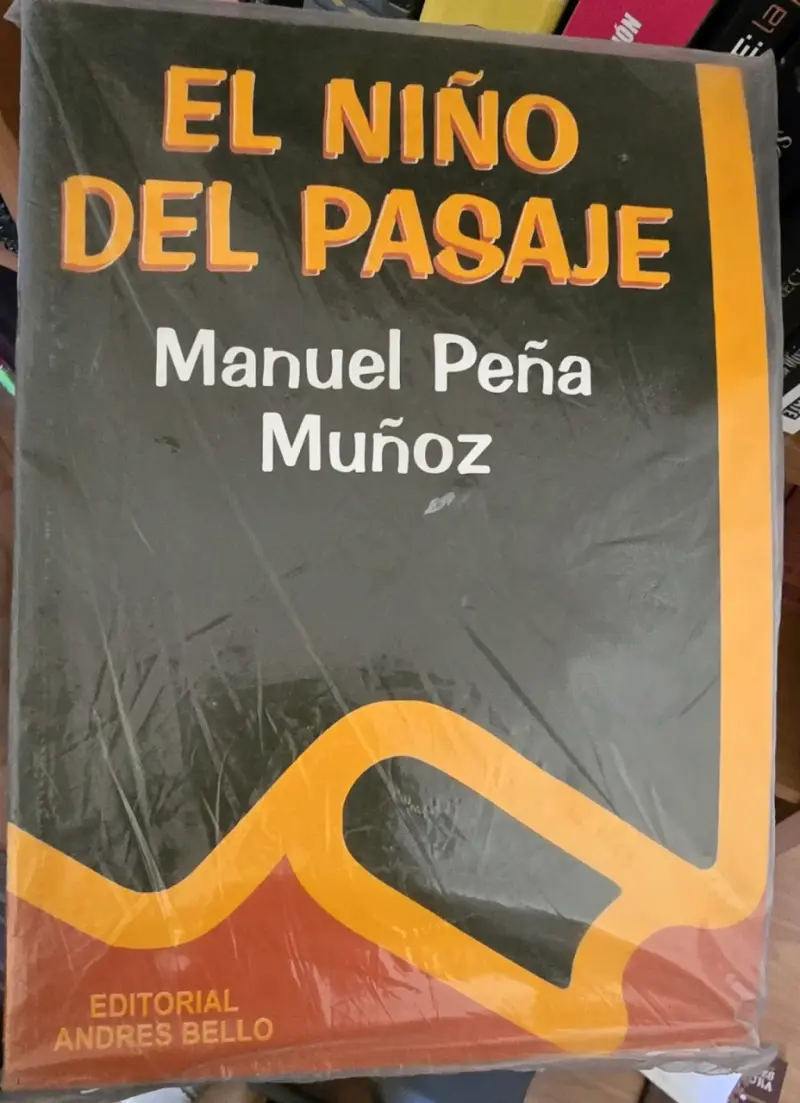 Libro 'El Niño del Pasaje'