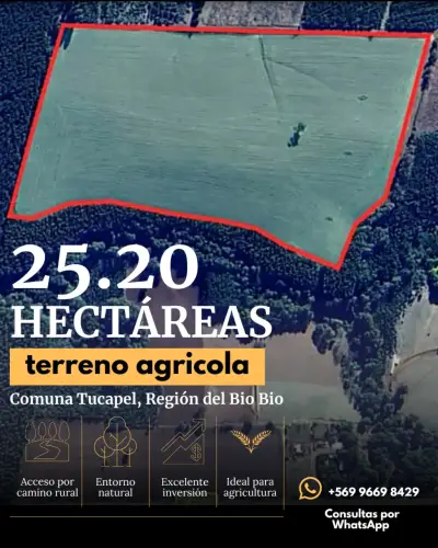 Terreno agrícola 25.20 hectáreas - miniatura 1