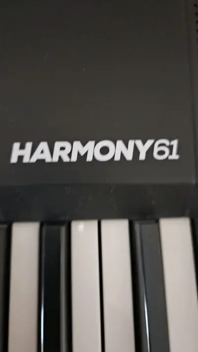 Teclado eléctrico Alesis Harmony 61 - miniatura 4