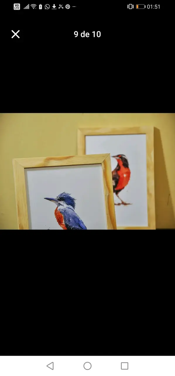 Trío de cuadros de aves - 2