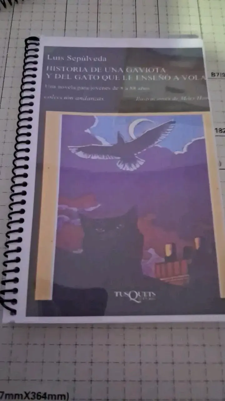 Libro Papelucho mi hermana ji - 4