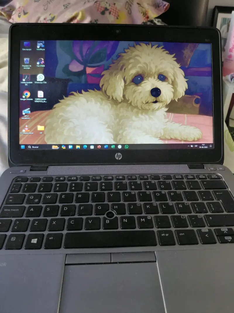 Notebook HP en buen estado - 4