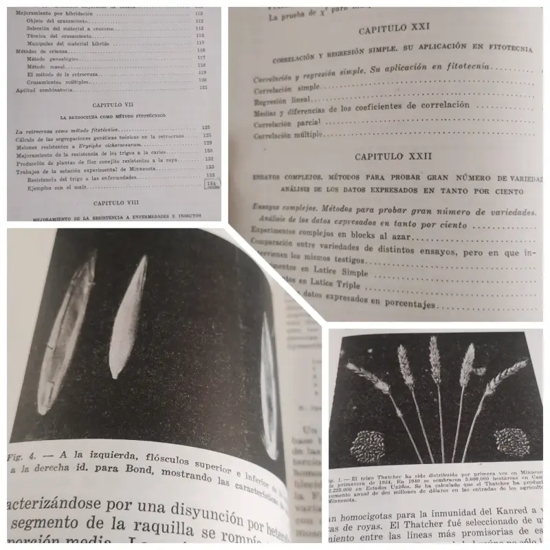 Metodos Fitotécnicos edición 1947 - 3