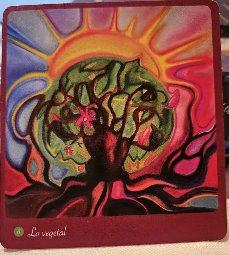 Cartas de la mujer salvaje - 3