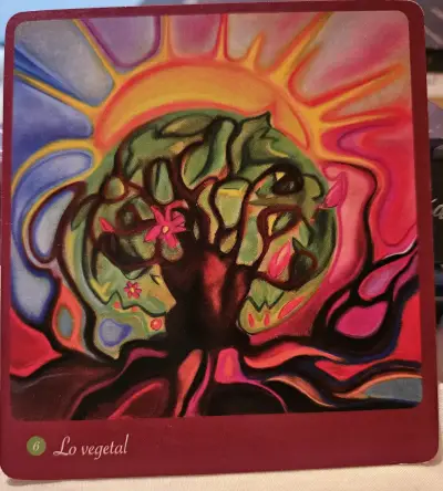 Cartas de la mujer salvaje - miniatura 3