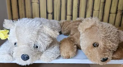 Ositos de peluche Village - miniatura 4