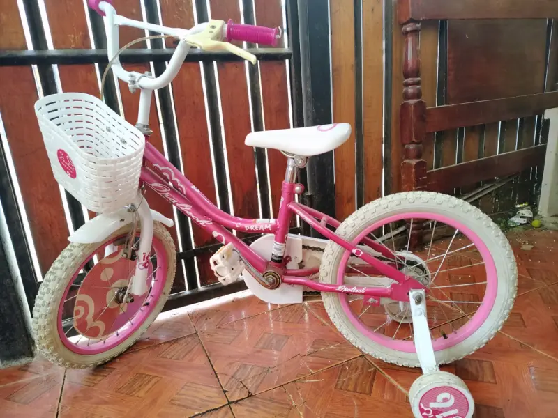 Bicicleta infantil rosada con canasto - 1