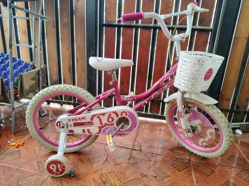 Bicicleta infantil rosada con canasto - 2