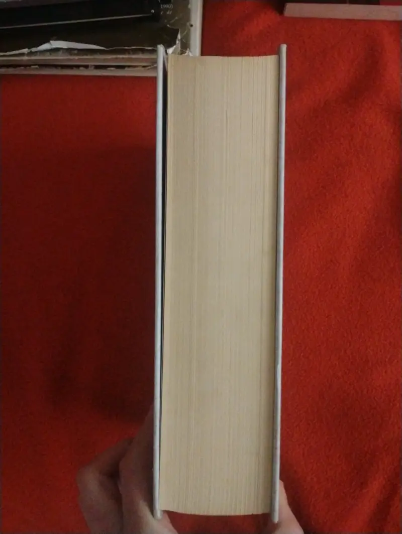 Libro Anna Karenina de Tolstói original - 2