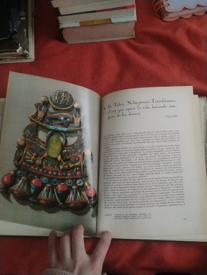 Libro Tutankhamen tapa dura - 3