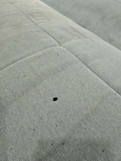 Sofá cama gris con funda - miniatura 6