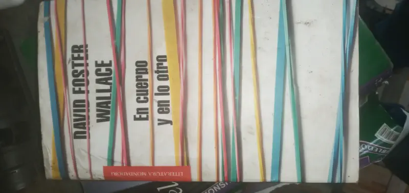 Libro 'En cuerpo y en lo otro' - 1