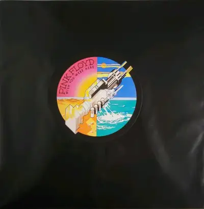 Vinilo Pink Floyd Wish You Were Here - miniatura 2