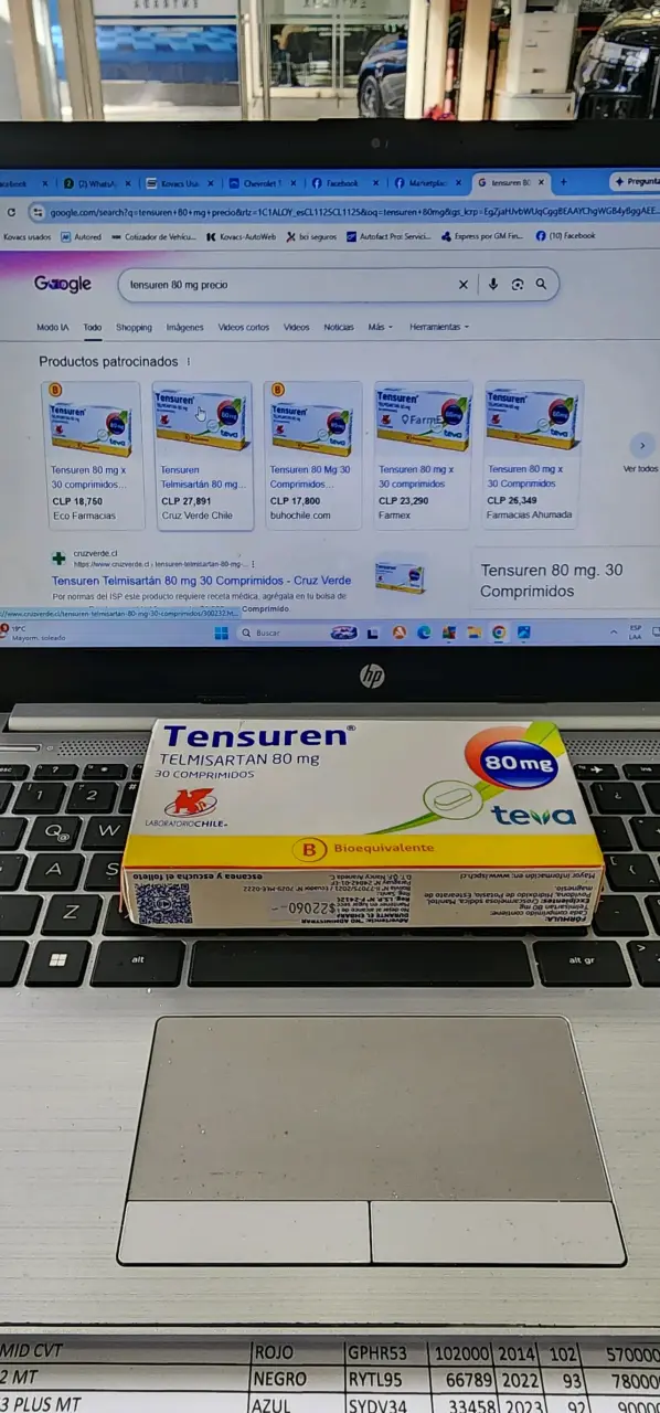 Tensuren Telmisartan 80 mg 30 comprimidos - 4