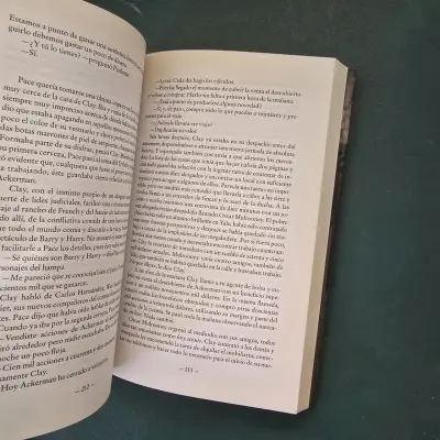 Libro 'El rey de los pleitos' - miniatura 4