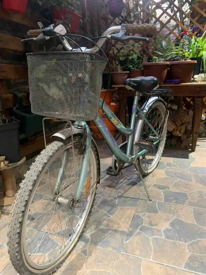 Bicicleta urbana con canasto - 1