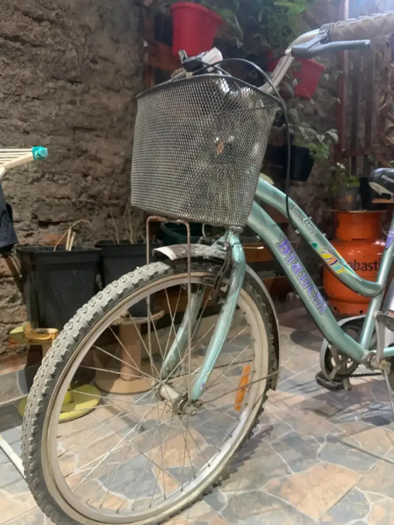 Bicicleta urbana con canasto - 2