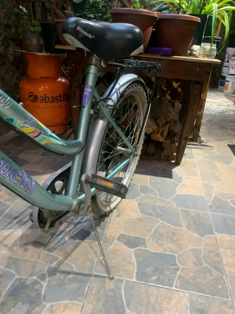 Bicicleta urbana con canasto - 3
