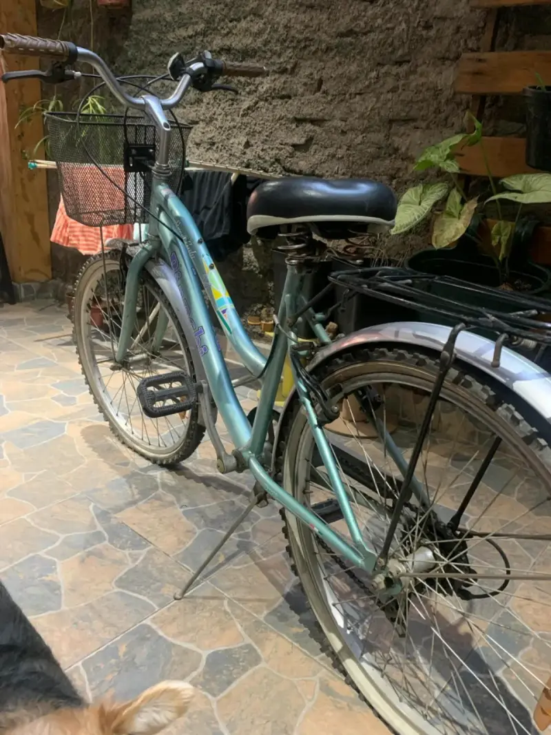 Bicicleta urbana con canasto - 4