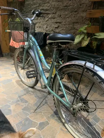 Bicicleta urbana con canasto - miniatura 4
