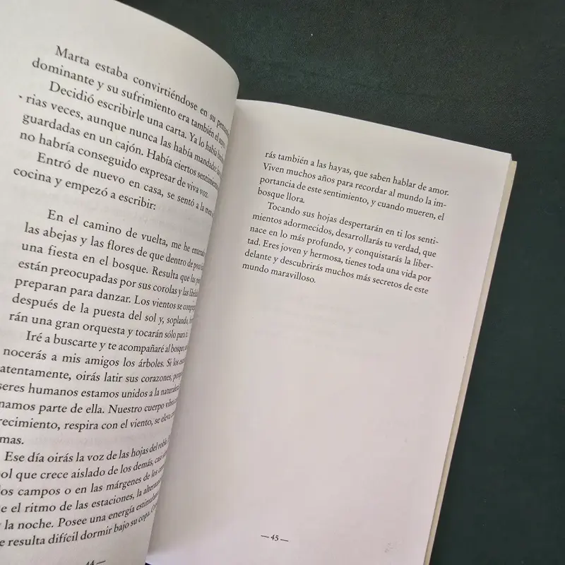 Libro 'El buscador de sueños' - 4